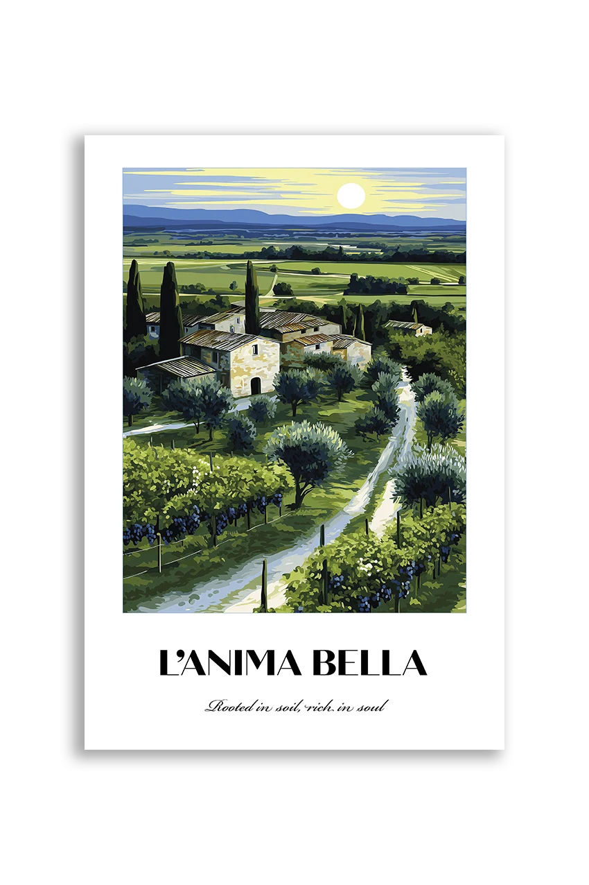 L’Anima Bella NO. 4 - Akustikbillede