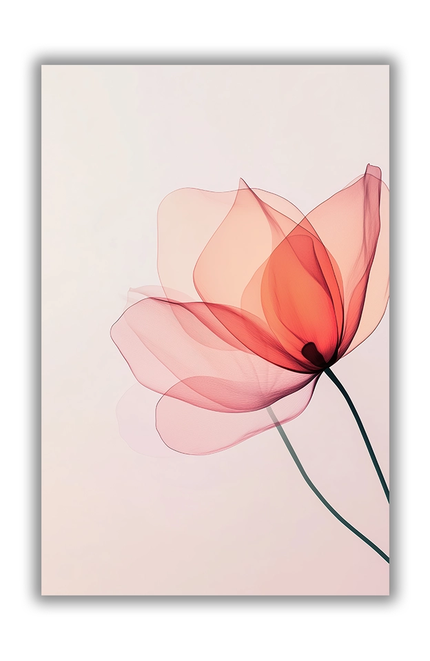 Transparent Bloom