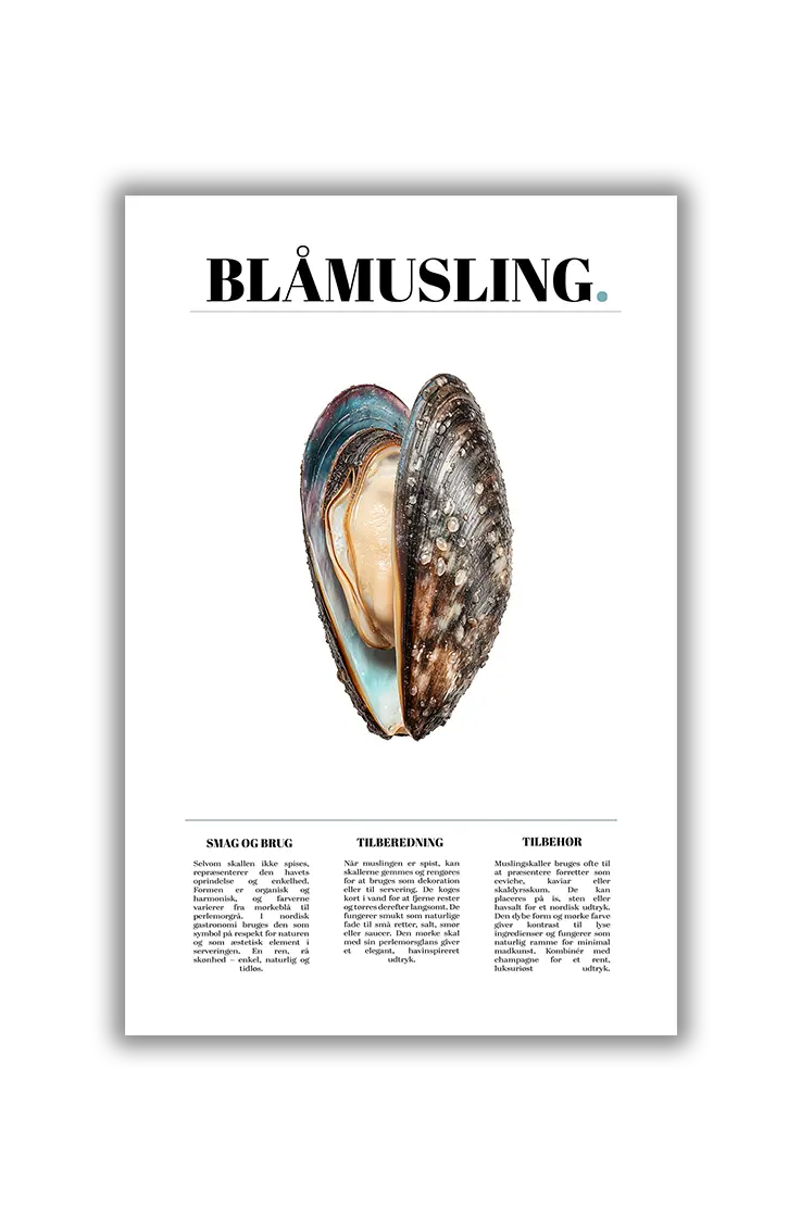 Culinary Creatures NO.10