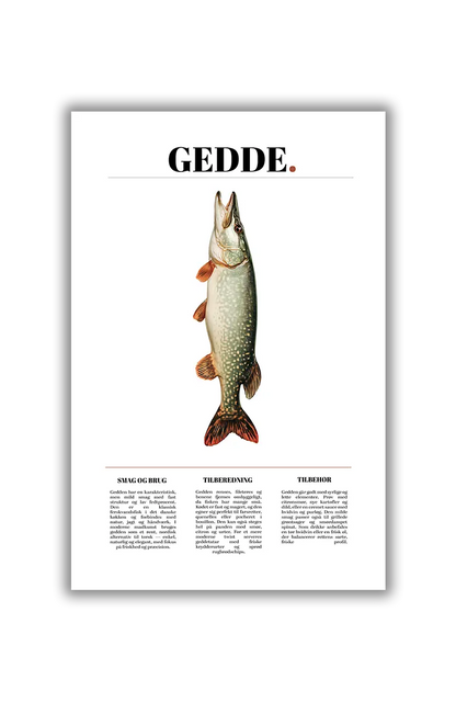 Culinary Creatures NO.13