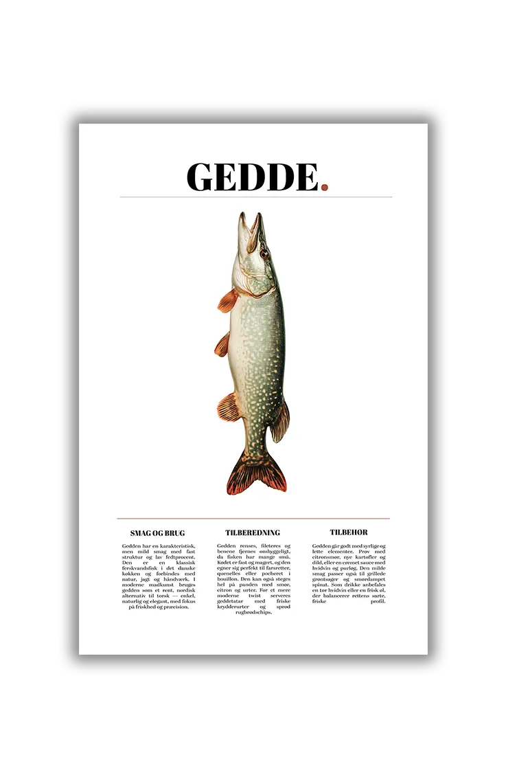 Culinary Creatures NO.13