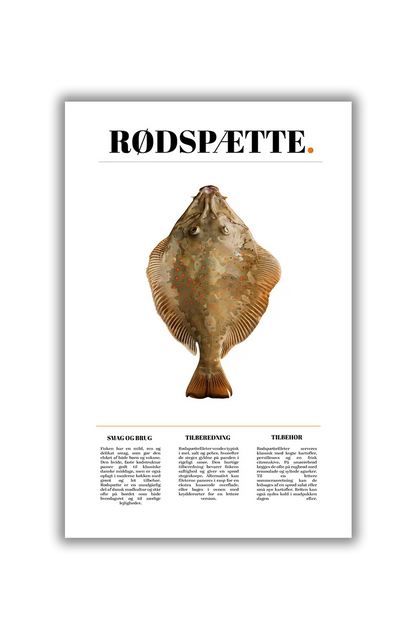 Culinary Creatures NO.14