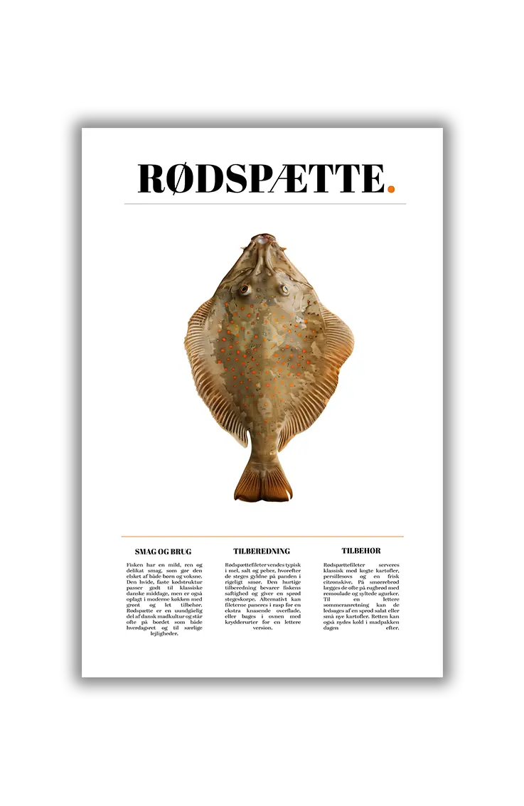 Culinary Creatures NO.14