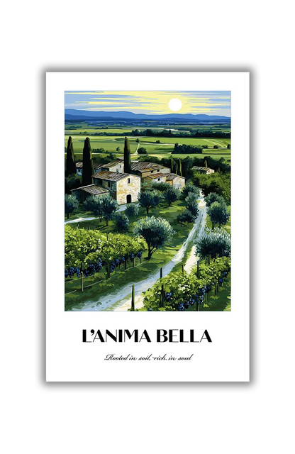 NO.4 L’Anima Bella – Akustikbillede