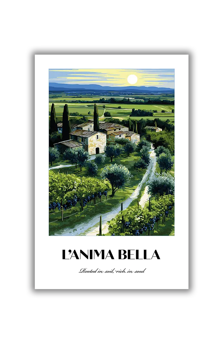 NO.4 L’Anima Bella – Akustikbillede