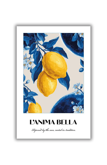 NO.5 L’Anima Bella – Akustikbillede