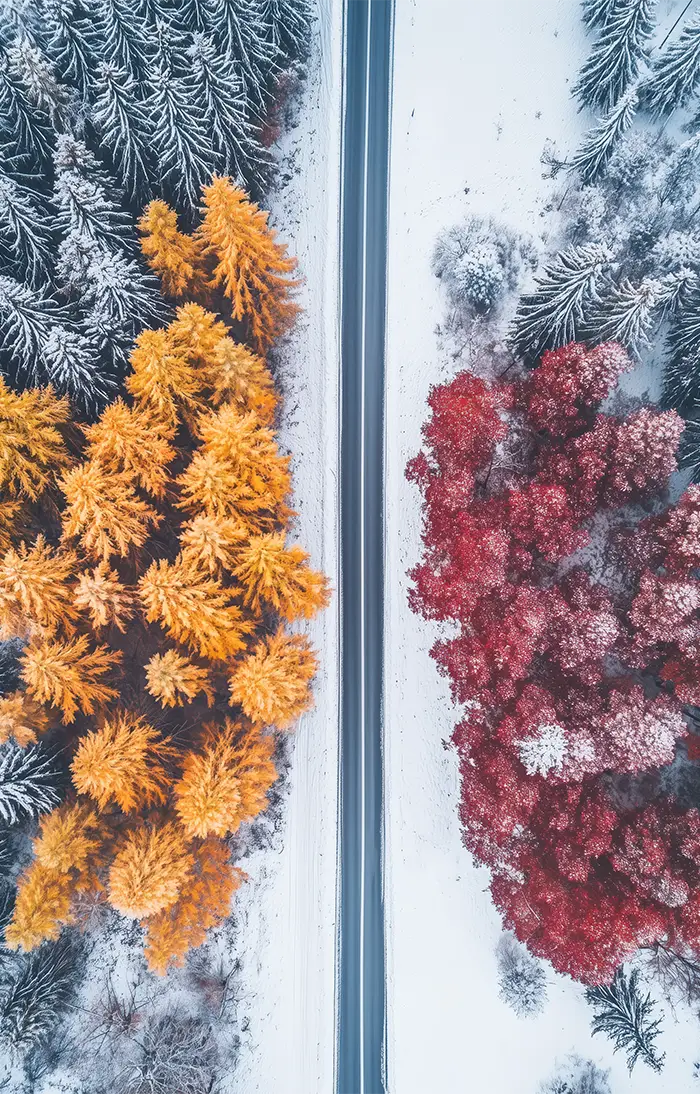 Akustikdæmpende panel fra inex world of art i designet autumn divide. Akustikdæmpende paneler der skaber god lyd i et rum.