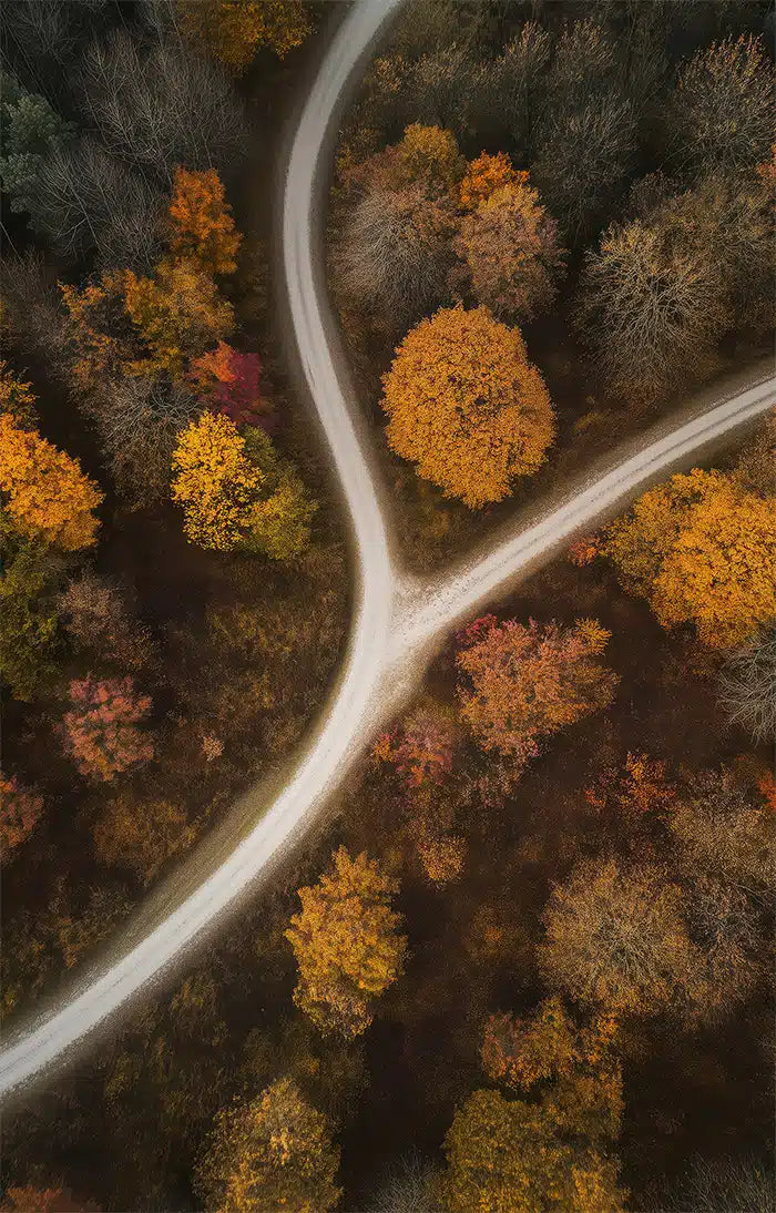 Akustikdæmpende panel fra inex world of art i designet Forest Curve. Akustikdæmpende paneler der skaber god lyd i et rum.